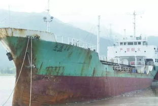 60万艘船的苦与痛 呼吁政府加强管控，防范航运市场泡沫化与船舶拆除危机